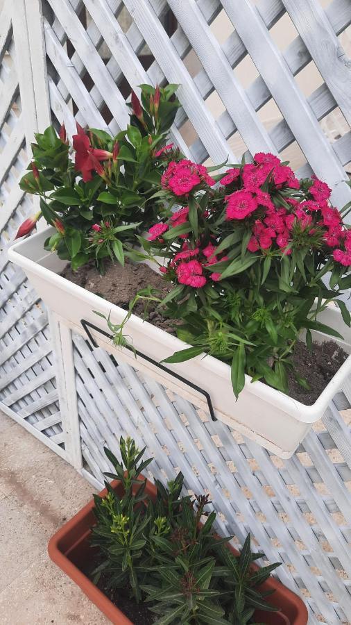 Casacecilia Relax Hotel Сиракуза Екстериор снимка